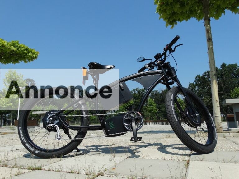 Speed pedelecs kan blive din nye pendlerven