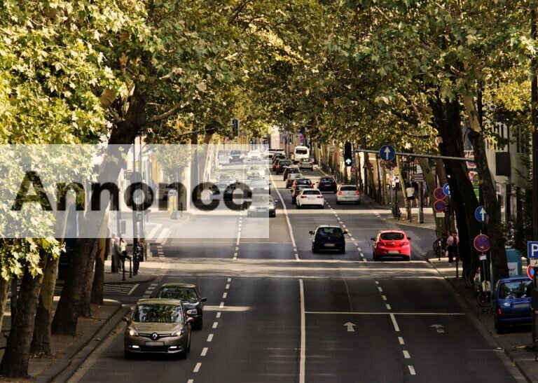 3 bil- og transportuddannelser til bilentusiasten